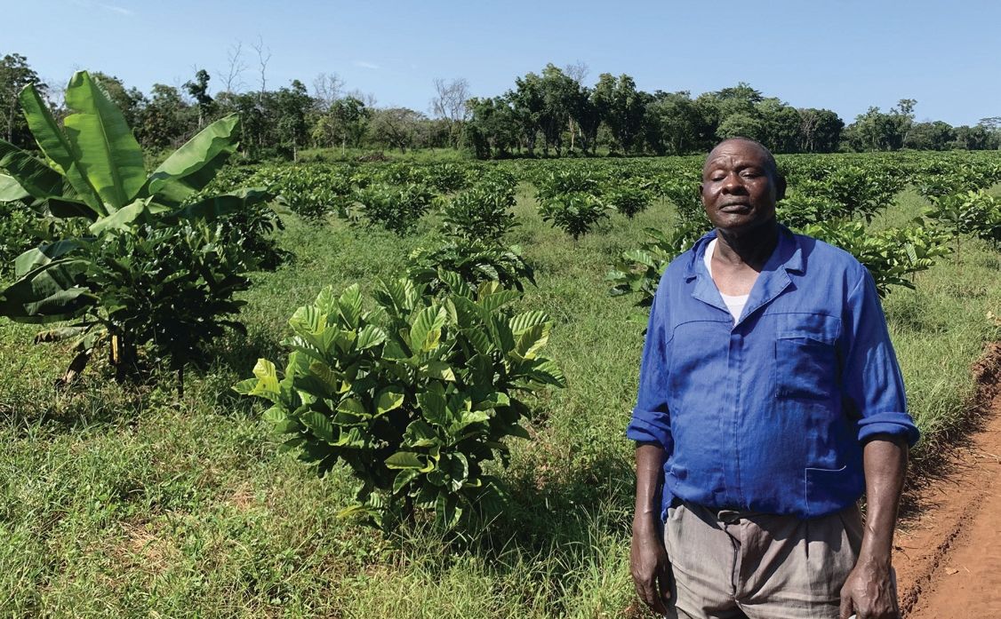 Outgrower in his coffee plot
