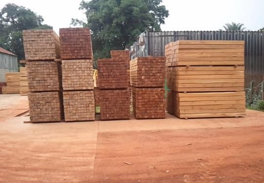 Sawn teak ready for export